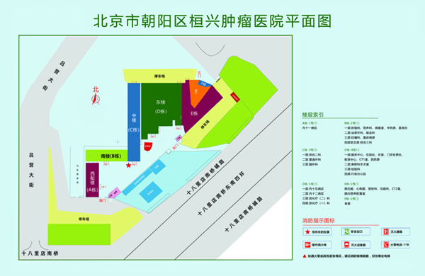 大插视频aaa北京市朝阳区桓兴肿瘤医院平面图